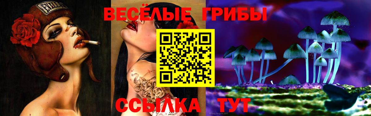 Троицк  Галлюциногенные грибы GOLDEN TEACHER  Вход с VPN 